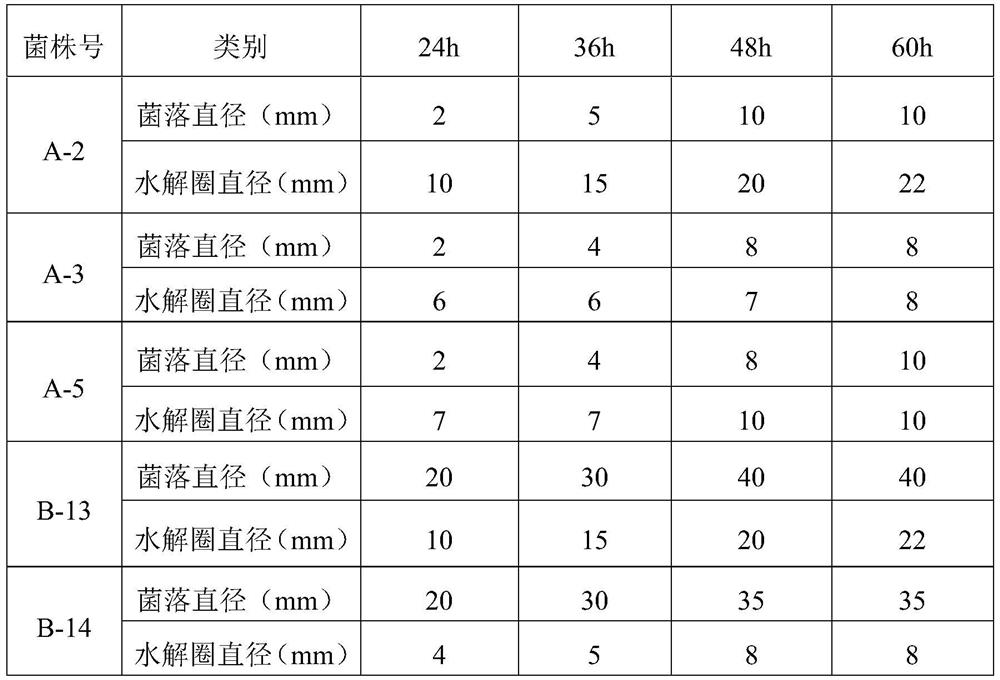 Aspergillus awamori, its agent and its application