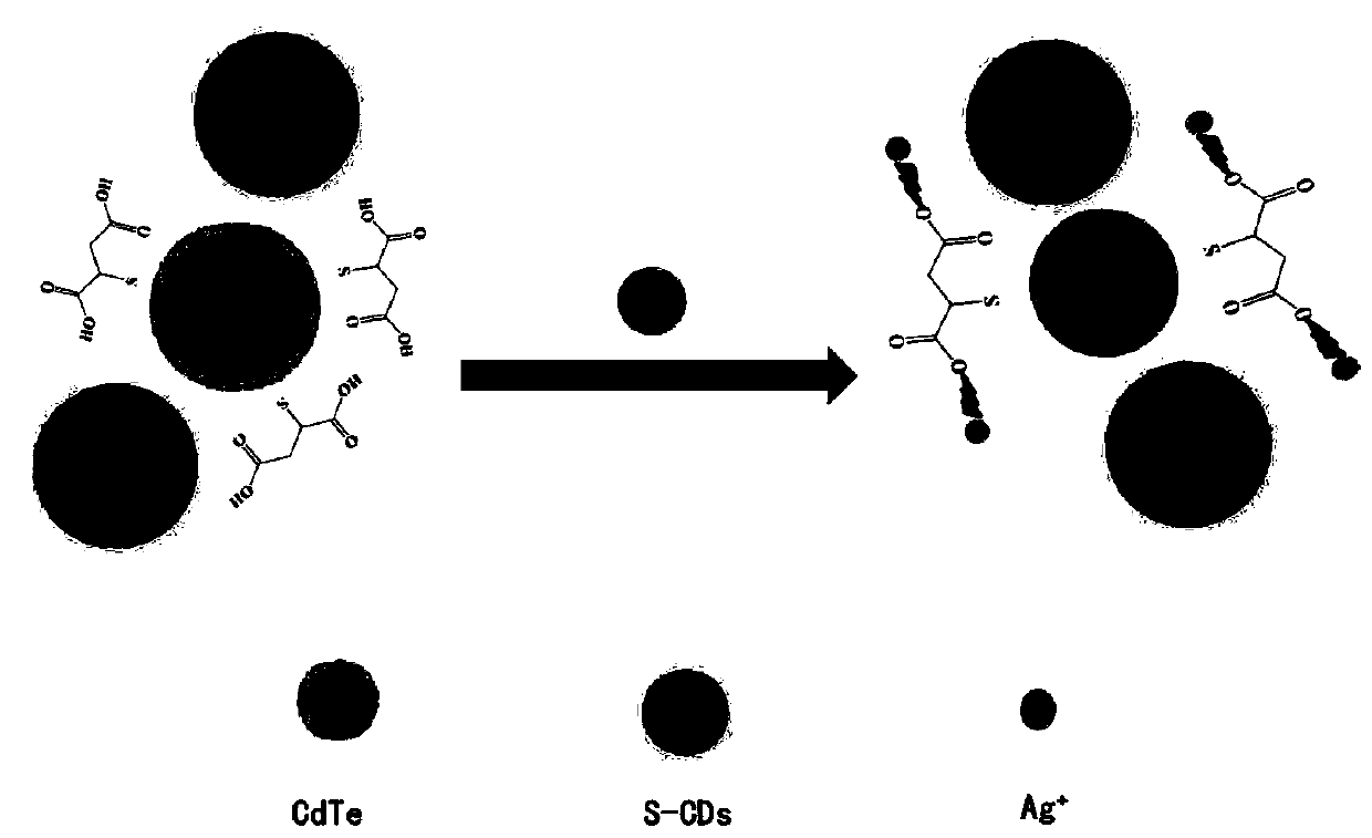 Preparation Method And Application Of Ratiometric Fluorescence Sensor ...