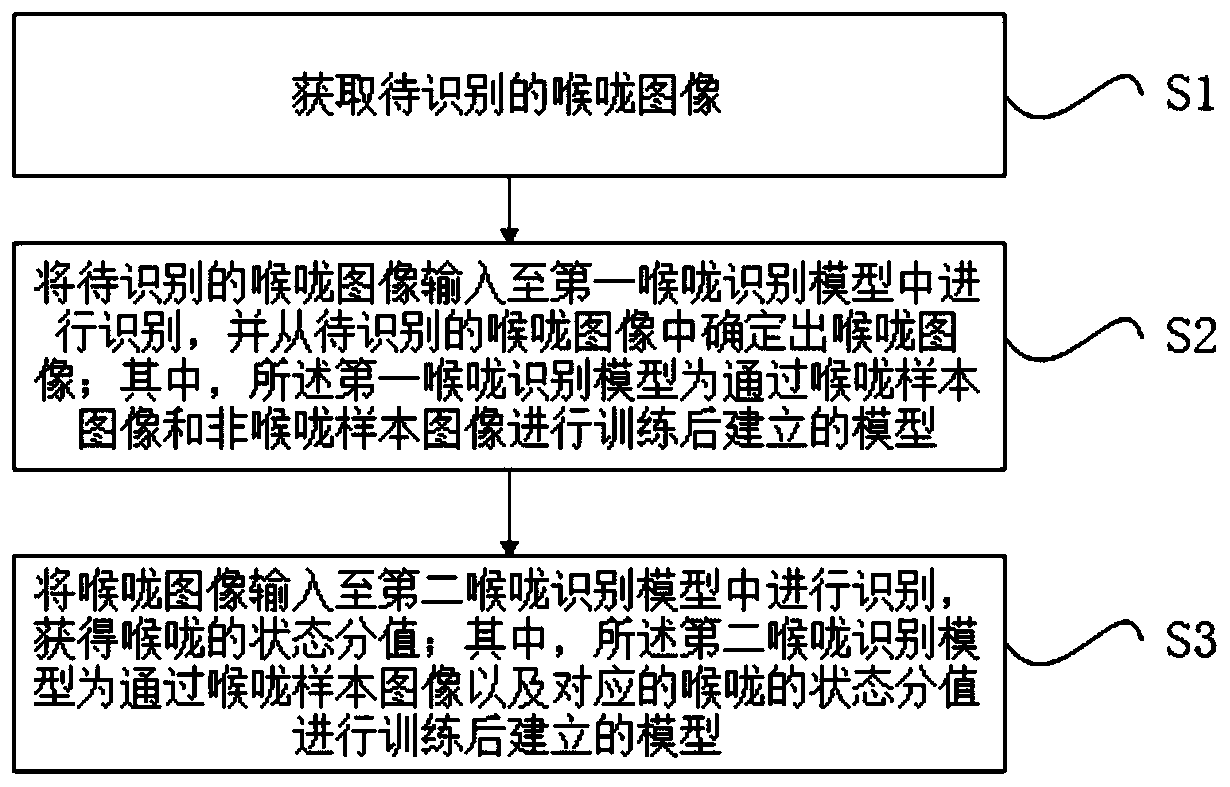 Throat recognition method, device and system, storage medium and equipment