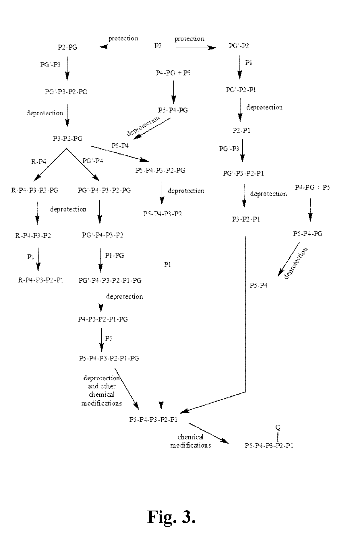 Cyclic urea compounds as granzyme b inhibitors