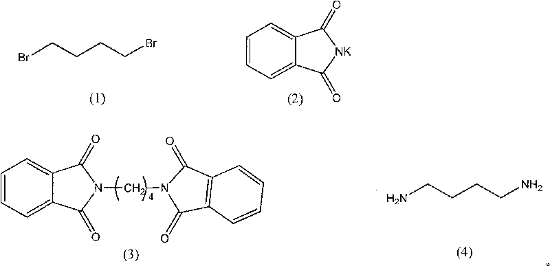 Synthesis method of 1,4-butanediamine