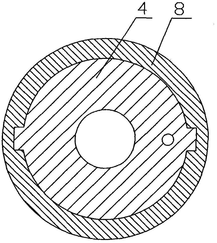 Opto-acoustic scan imaging method and device for detecting prostate