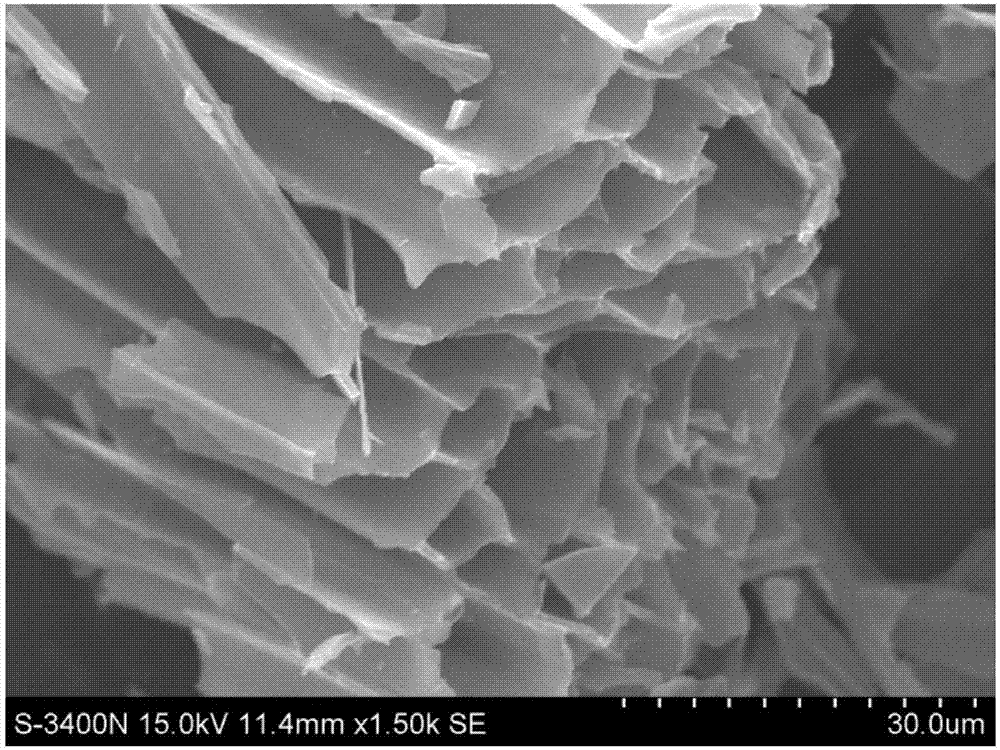 Preparation method of luffa sponge nitrogen-doped carbon nanomaterial