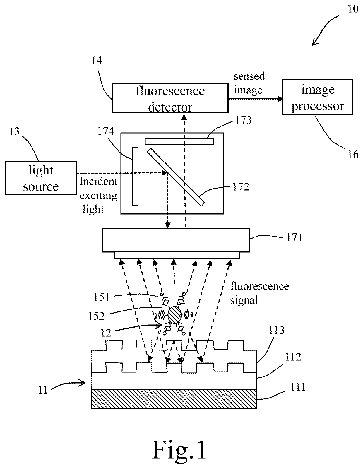 Fluorescence immunoassay device based on integration of photonic crystal and magnetic beads and method thereof