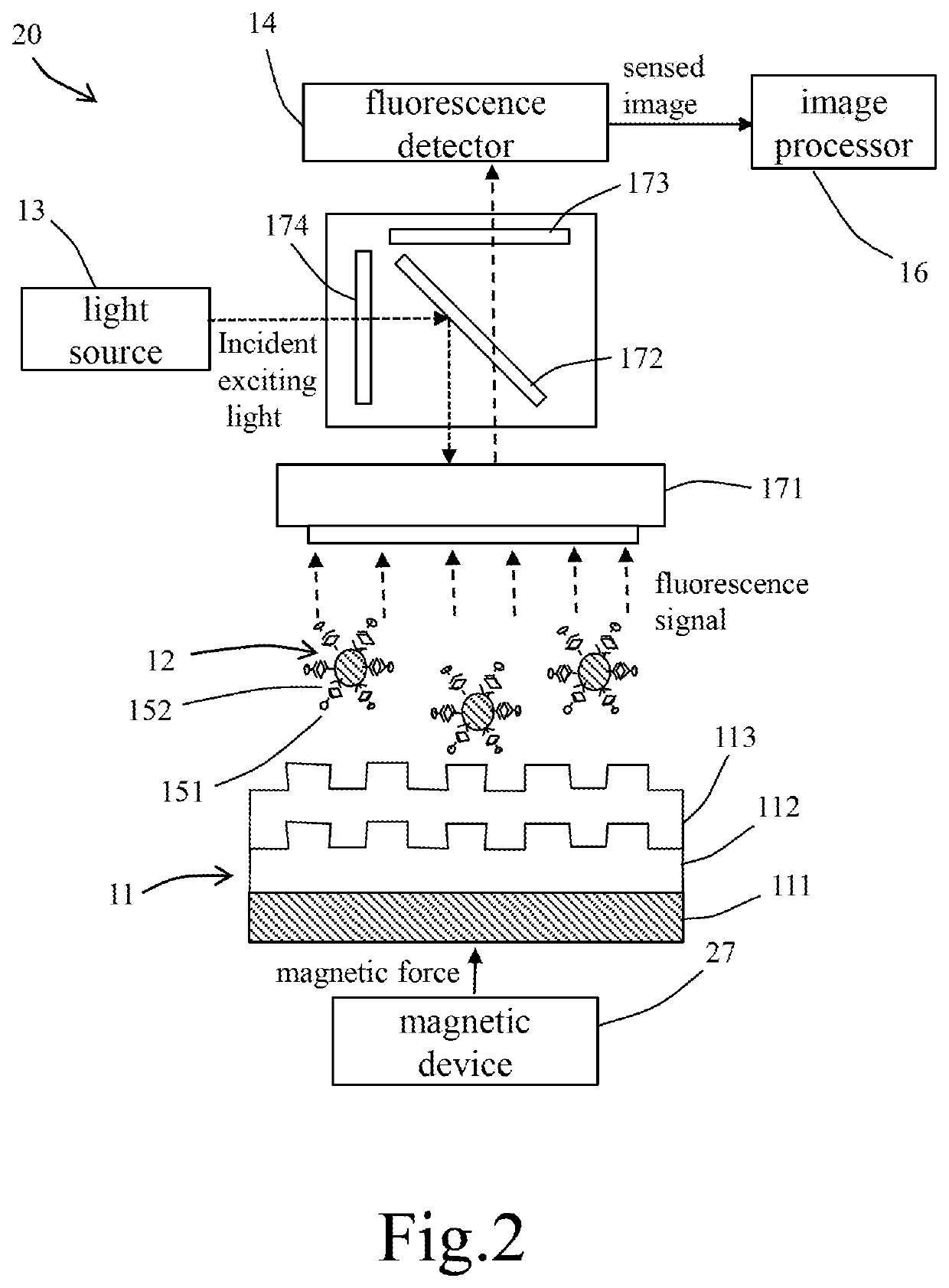 Fluorescence immunoassay device based on integration of photonic crystal and magnetic beads and method thereof