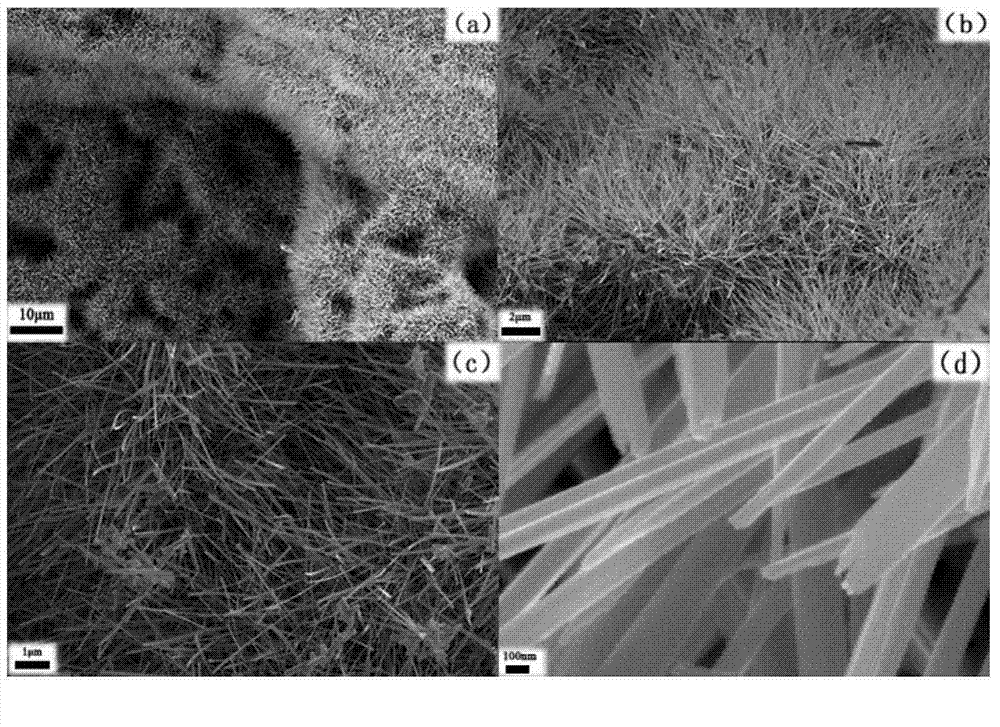 Method for preparing nano needle-shaped purple tungsten powder