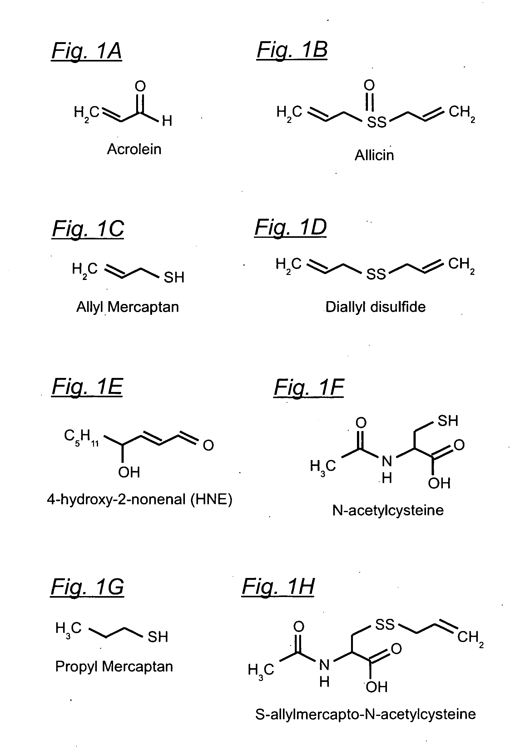 Organosulfur compounds for the prevention and treatment of neurodegenerative diseases