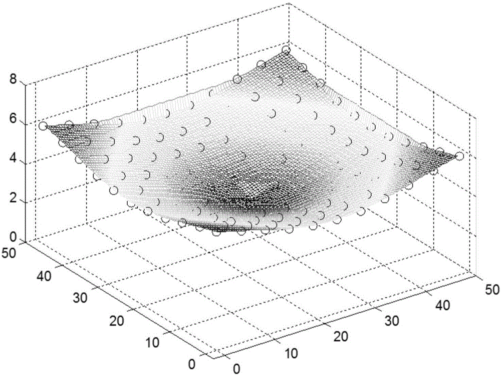 Soft tissue stress deformable model modeling method based on mesh-free radial base data fitting