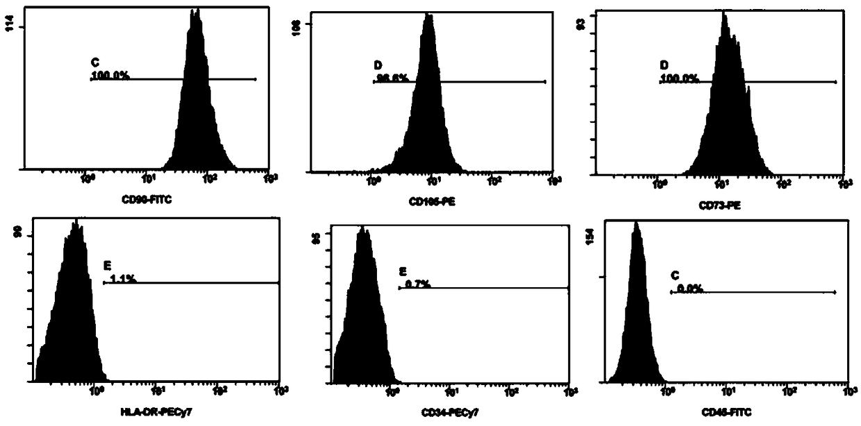 Method for isolated culture of adipose-derived stem cells and serum-free culture medium