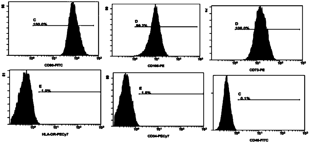 Method for isolated culture of adipose-derived stem cells and serum-free culture medium