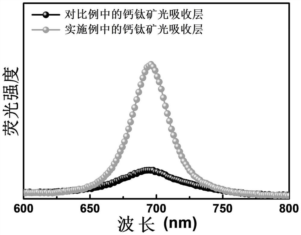 Perovskite light absorption layer, preparation method of perovskite light absorption layer, solar cell and preparation method of solar cell