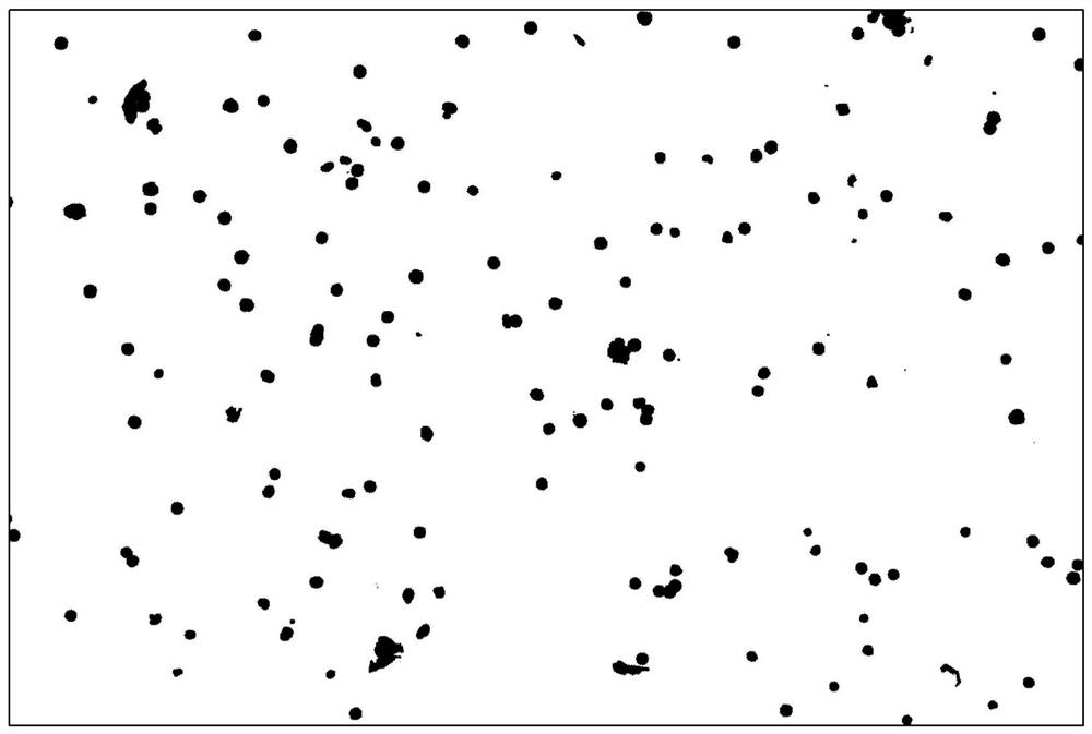 Whole organ cell proliferation quantitative detection method