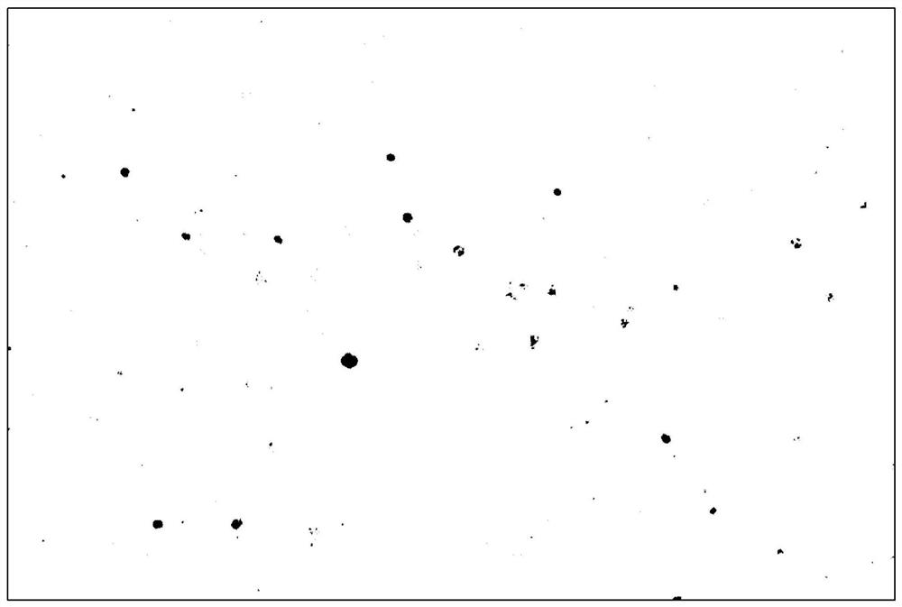 Whole organ cell proliferation quantitative detection method