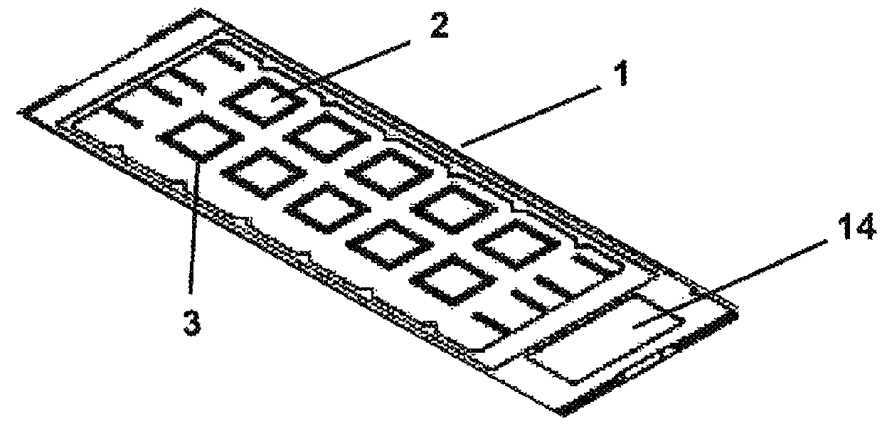 Method and apparatus for automatic focusing of substrates in flourescence microscopy