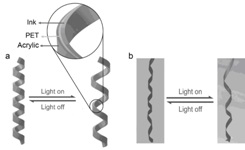 A spiral photothermal drive film and a soft crawling robot based on the film