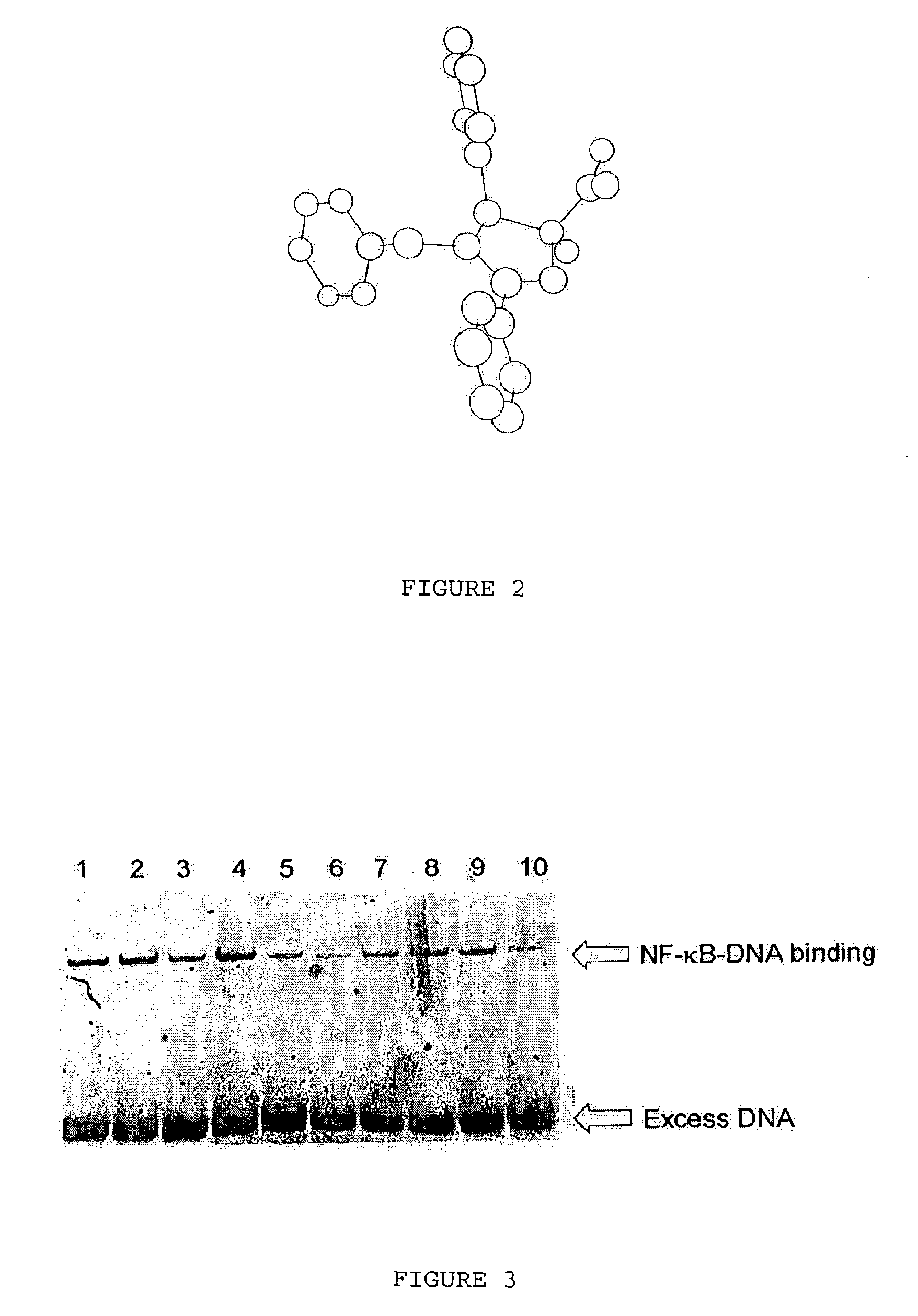 NF-κB inhibitors and uses thereof