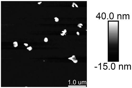 A kind of organic solar cell structure and preparation method based on discotic liquid crystal column