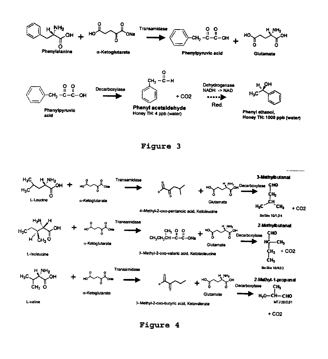 Taste and flavor modulation by biotransformation in milk products