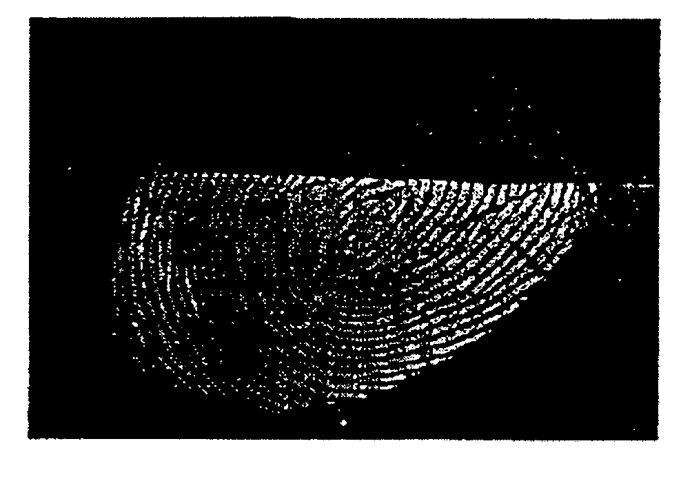 Polymer for detecting fingerprint, method of producing the same, composition for detecting fingerprint and method of detecting fingerprint using the same