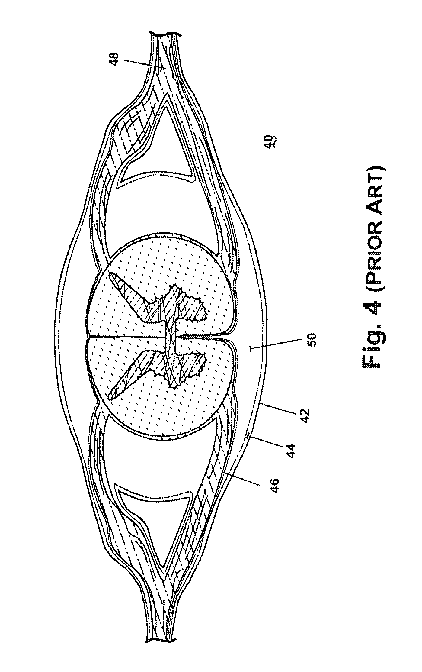 Composition and methods of treatment of bacterial meningitis