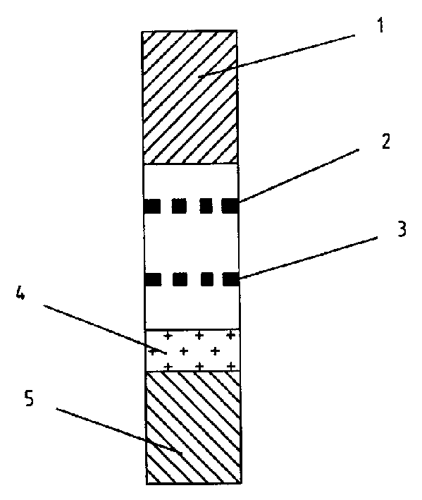 Method and device for quick testing beta-excitant by chromatograph
