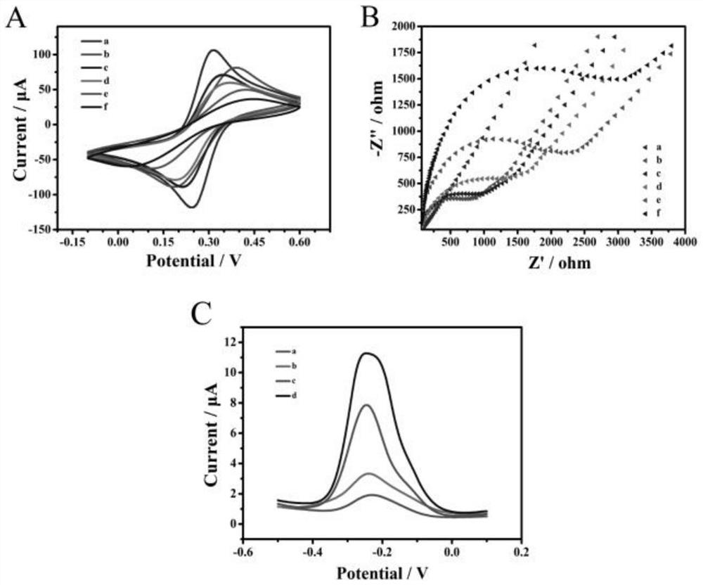 Construction of universal electrochemical biosensor ultra-sensitive detection target based on tetrahedral-tripod-assisted multi-hairpin cascade assembly