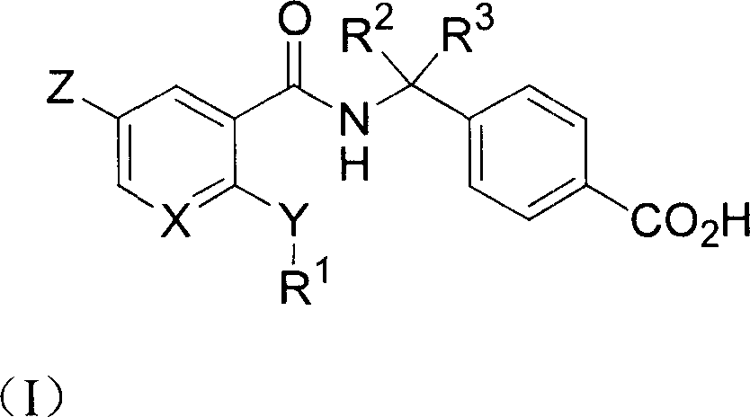 Ortho substituted aryl or heteroaryl amide compounds