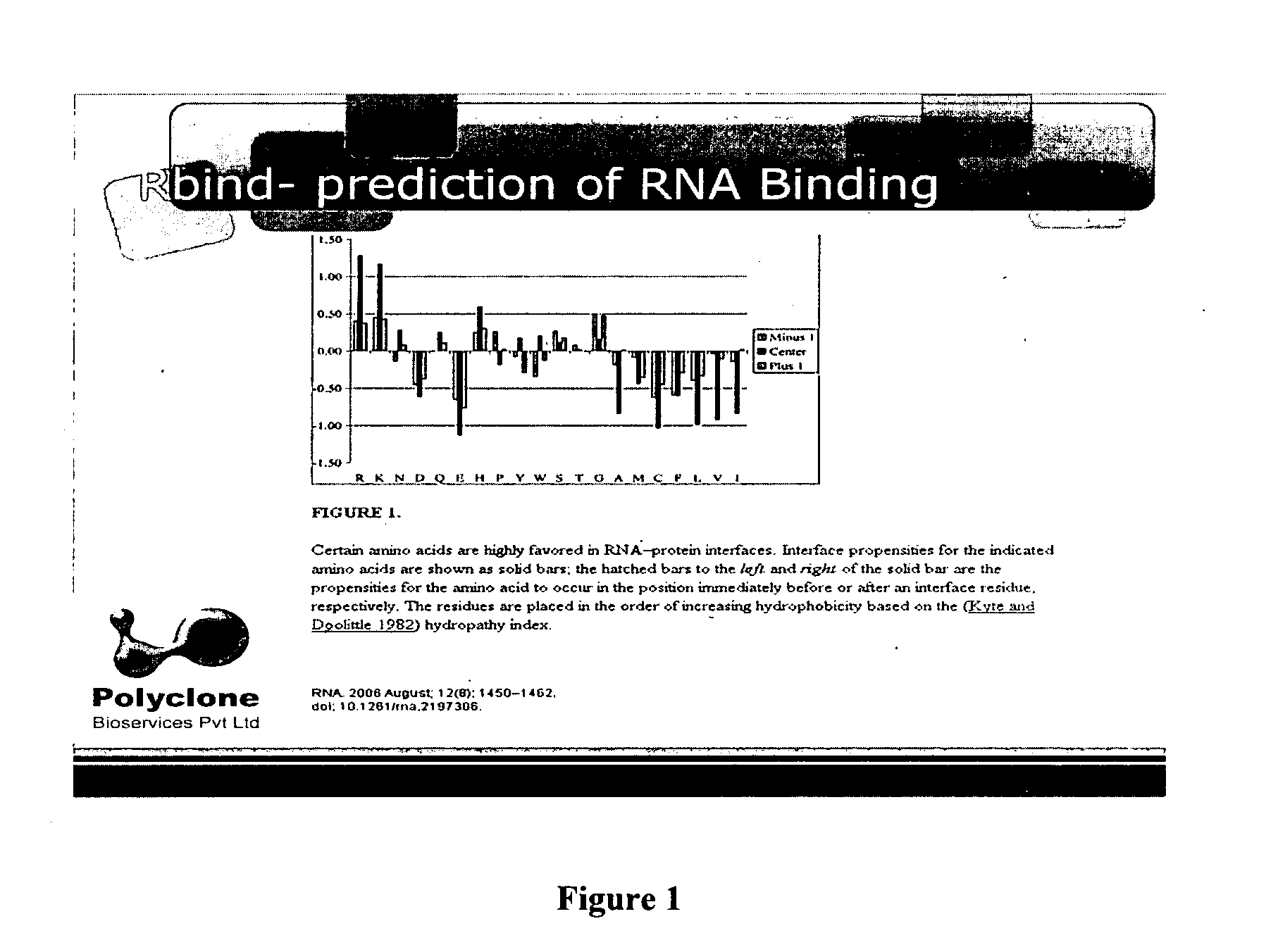 Method to characterize a protein as RNA binding protein