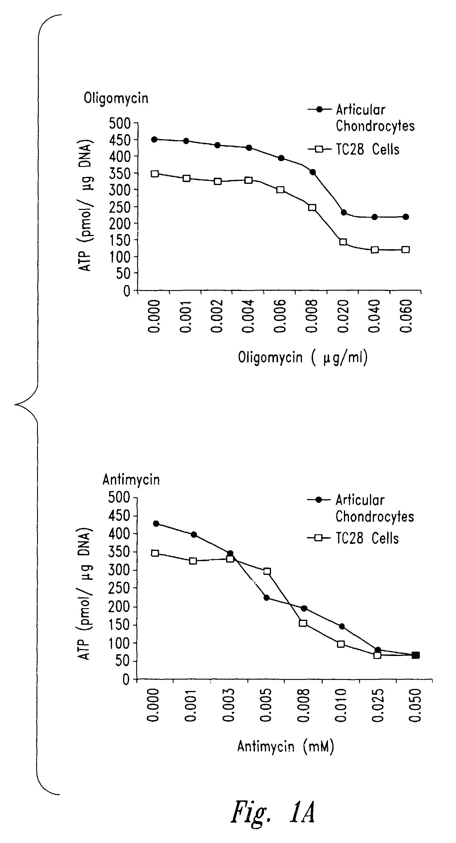 Methods and compositions for diagnosing and treating arthritic disorders and regulating bone mass