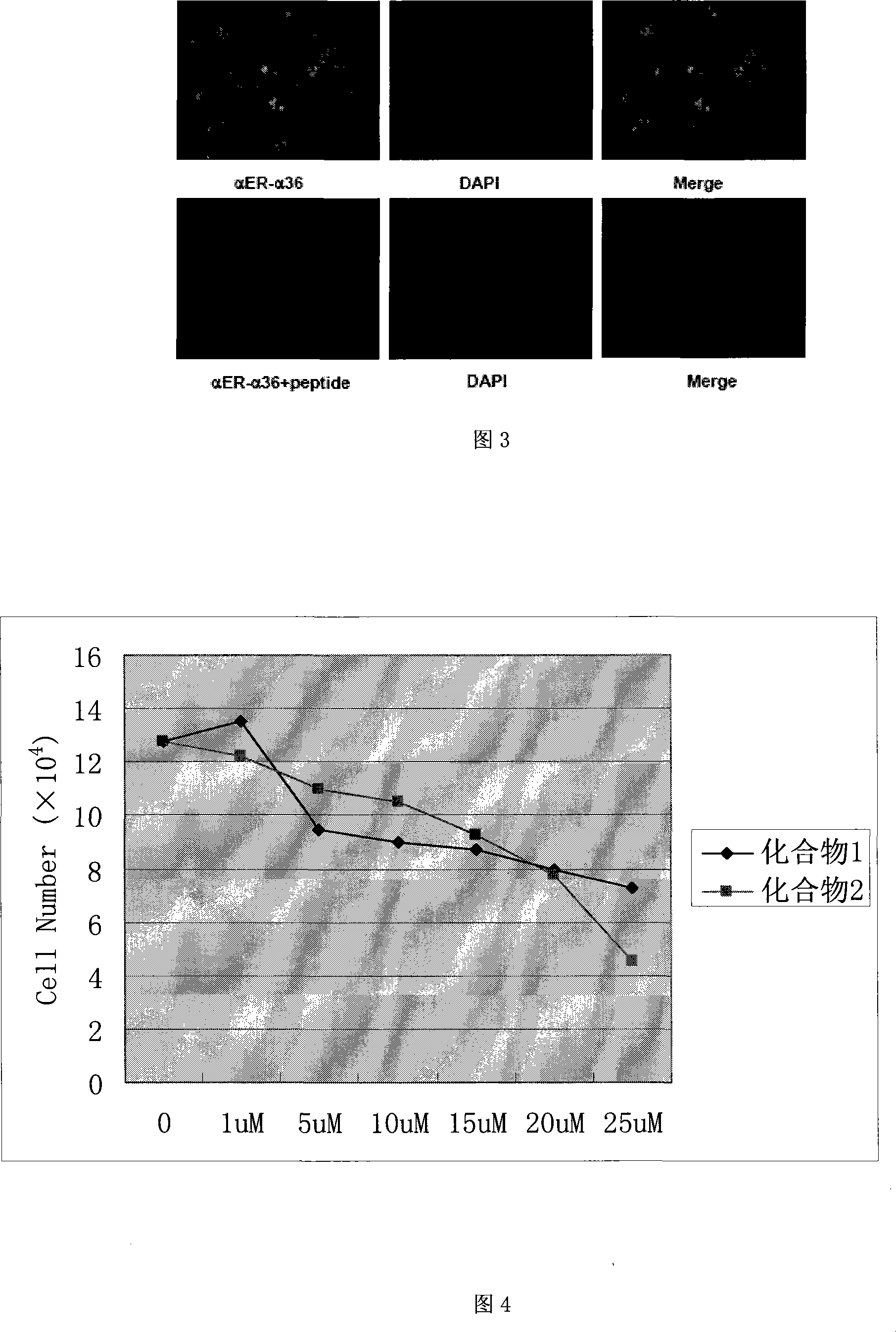 Dihydrobenzopyrans ketone compound and uses thereof