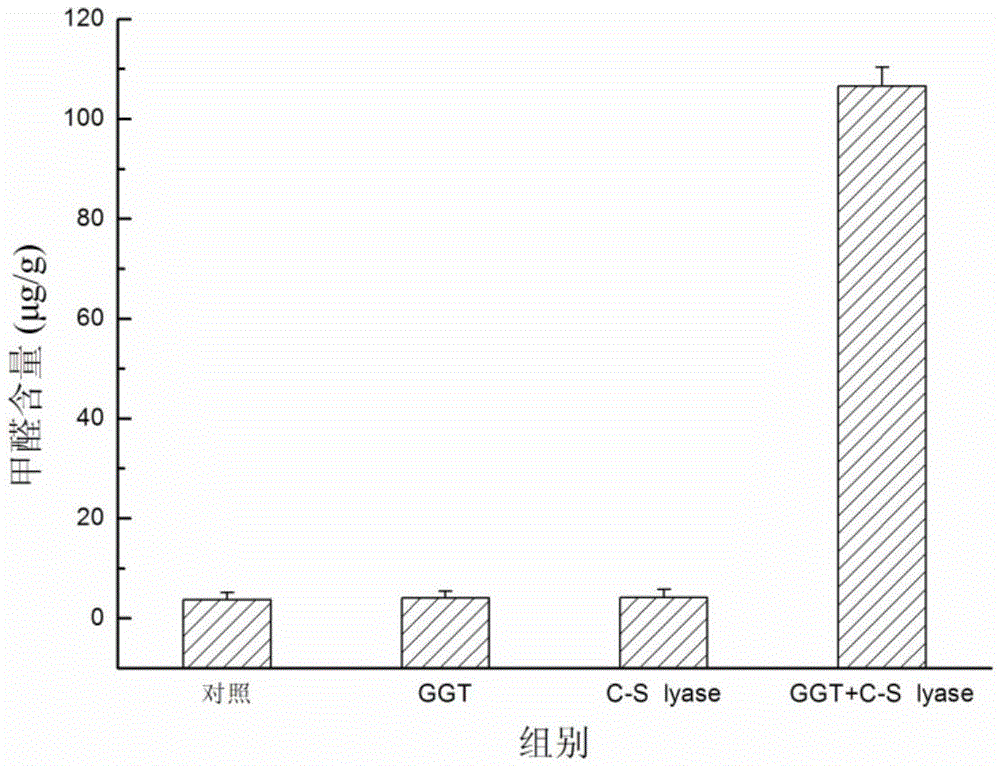 Lentinus edodes S-alkyl-L-cysteine sulfoxide lyase gene and application