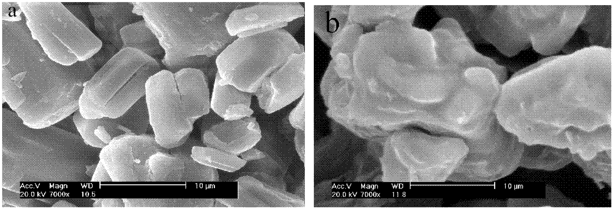 Epoxy resin reaction-type microcapsule fire retardant and preparation method thereof