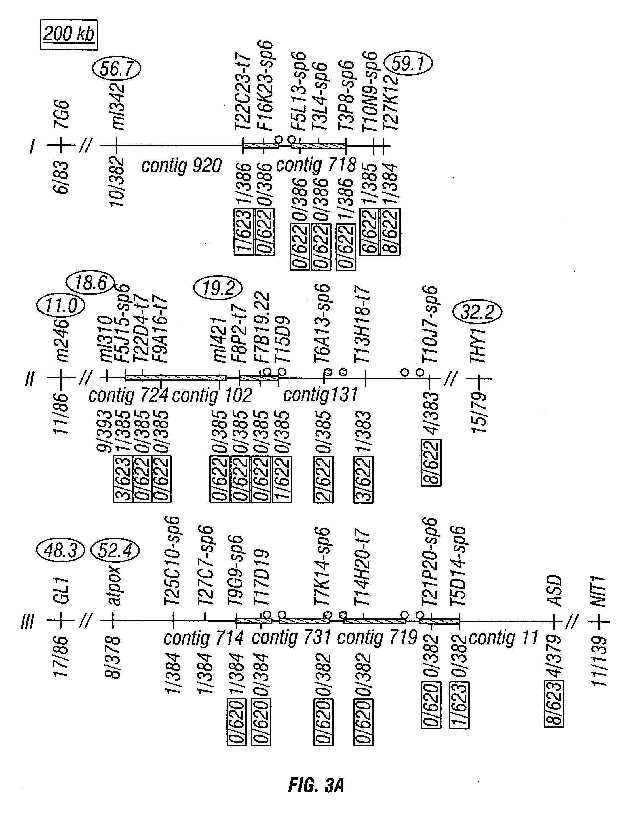 Plant chromosome compositions and methods
