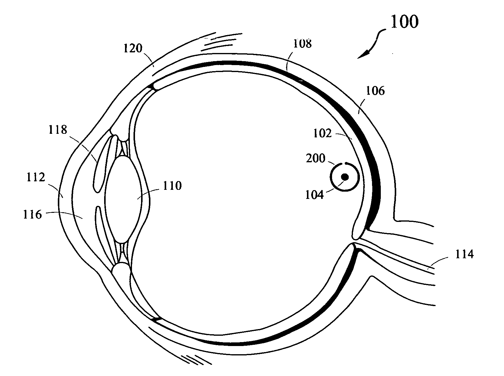 System for maintaining normal health of retinal cells and promoting regeneration of retinal cells