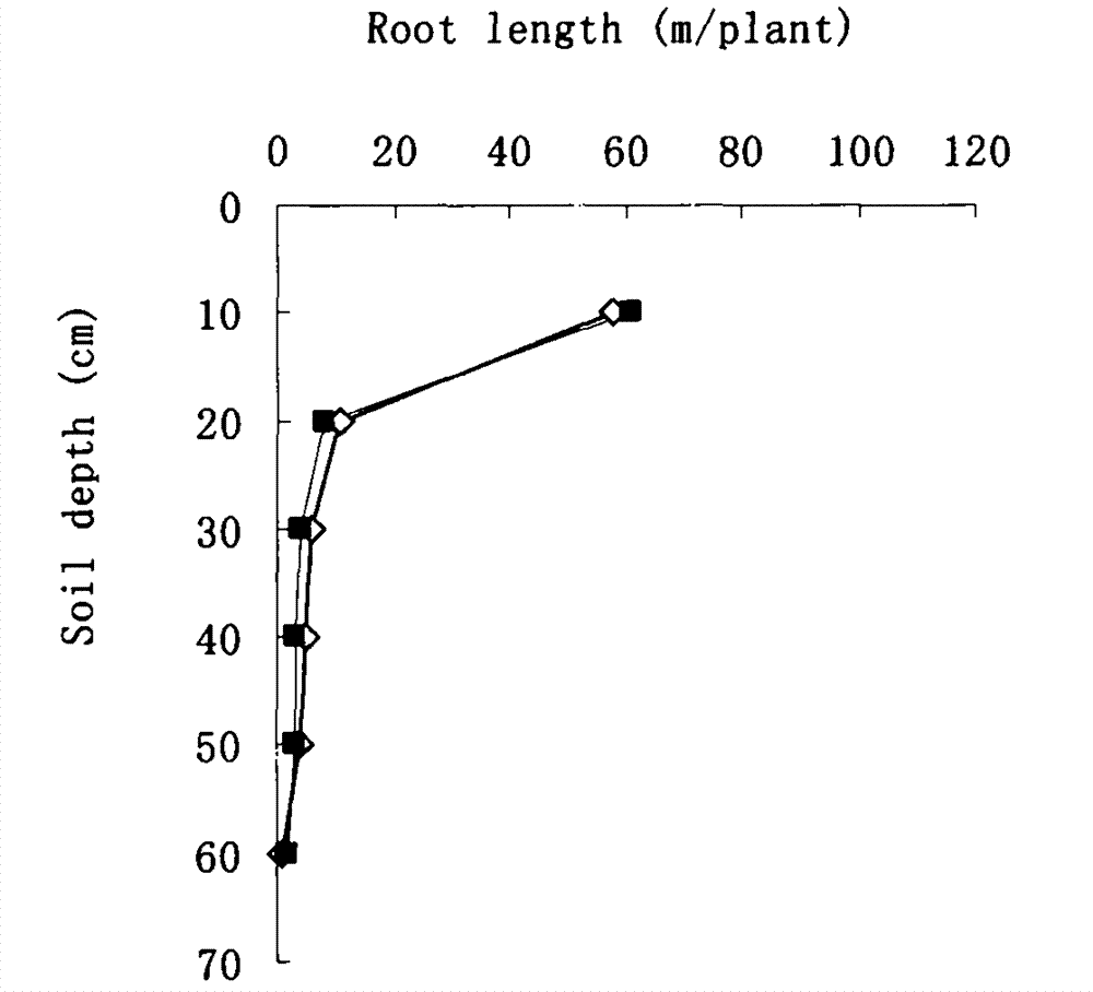 Method for chemically regulating and controlling cotton root configuration