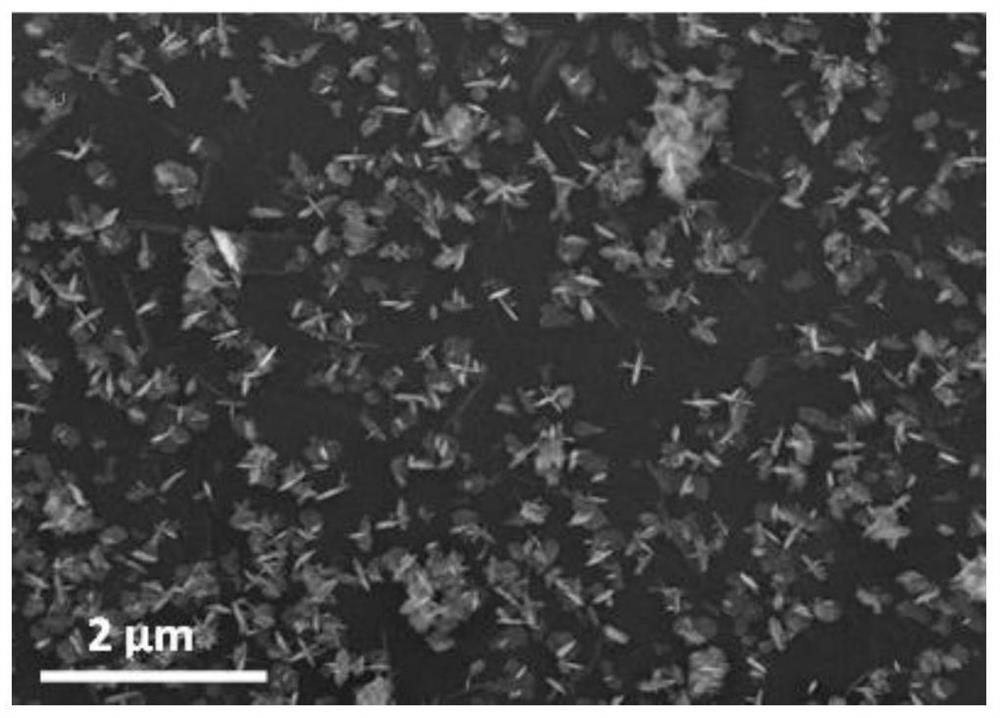 Expanded graphite negative electrode material loaded with cross needle-shaped tin oxide and preparation method thereof