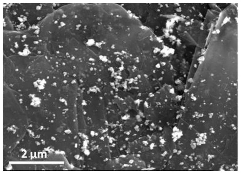 Expanded graphite negative electrode material loaded with cross needle-shaped tin oxide and preparation method thereof