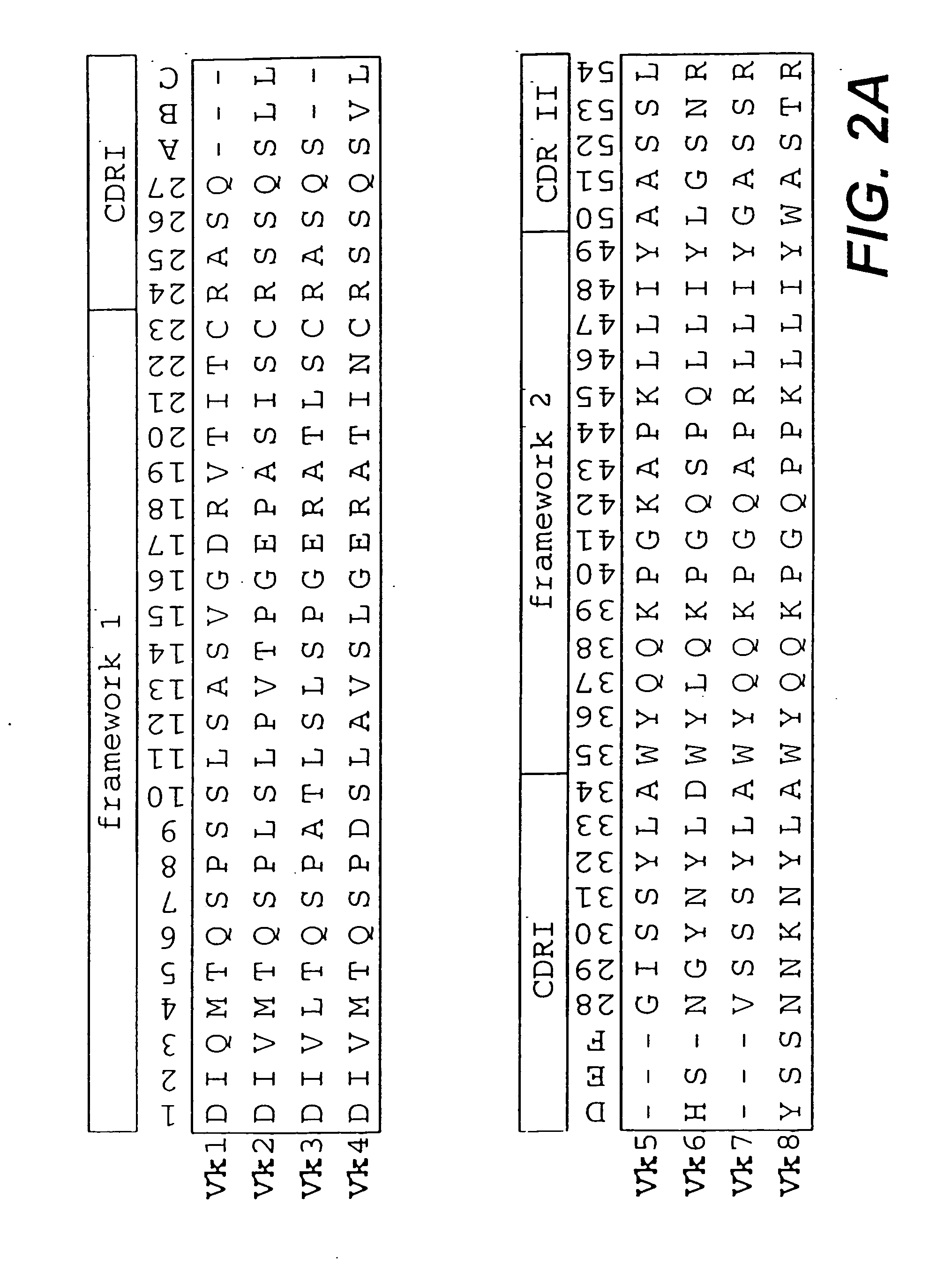 Protein (poly)peptides libraries