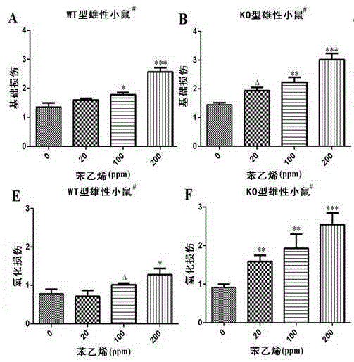 Application of ALDH2 genes to preparation of medicine for preventing genetic toxicity caused by styrene