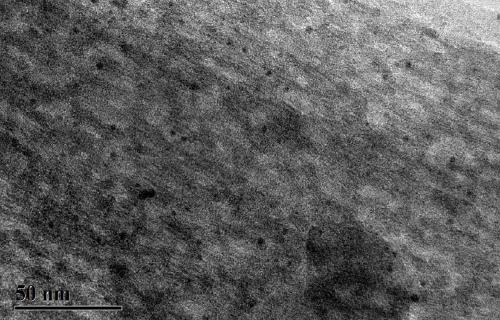 Preparation method and application of nanoporous gold-based catalyst modified by atomic layer deposition ultrathin titanium oxide