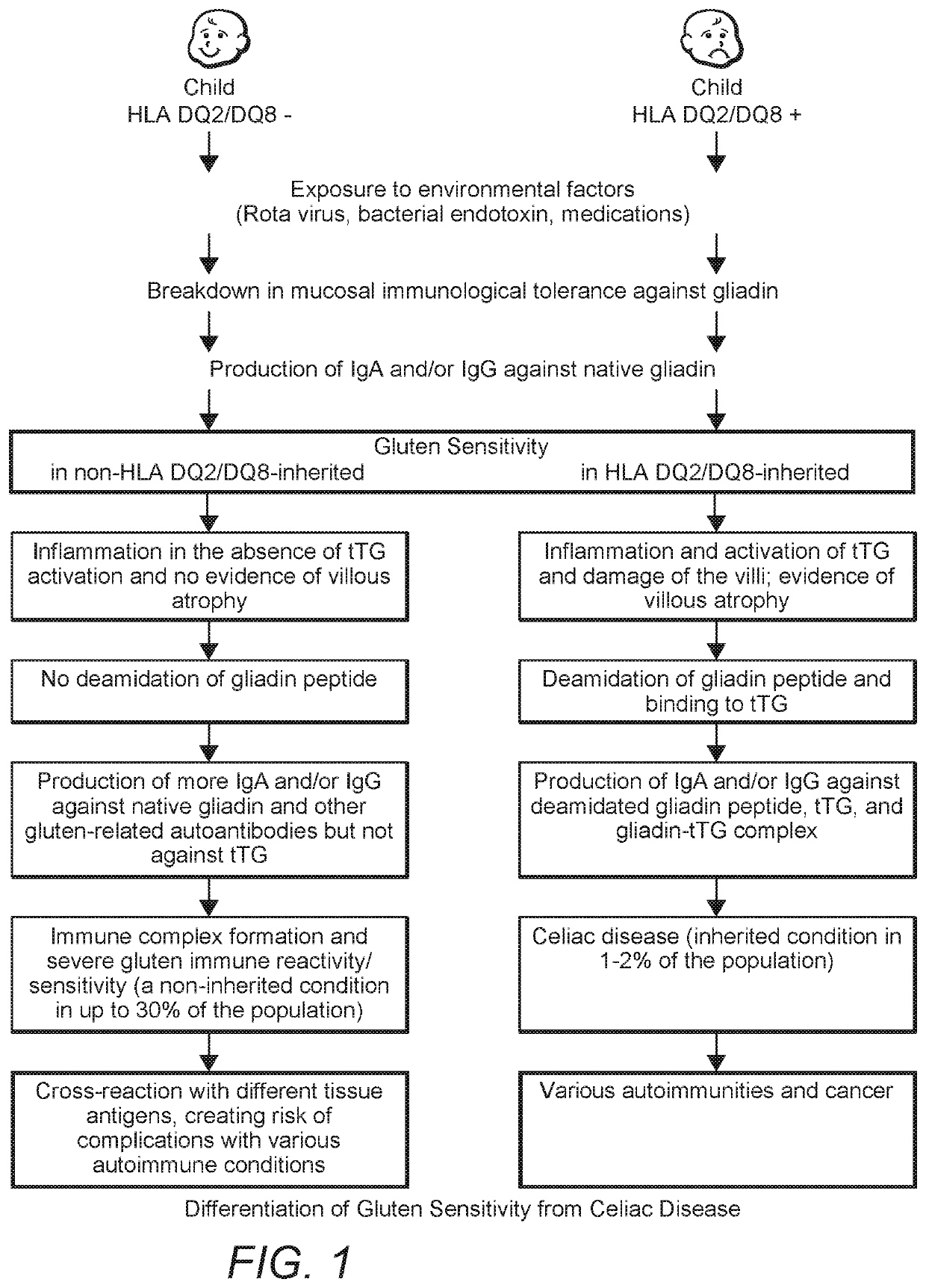 Methods and apparatus for detection of gluten sensitivity, and its differentiation from celiac disease