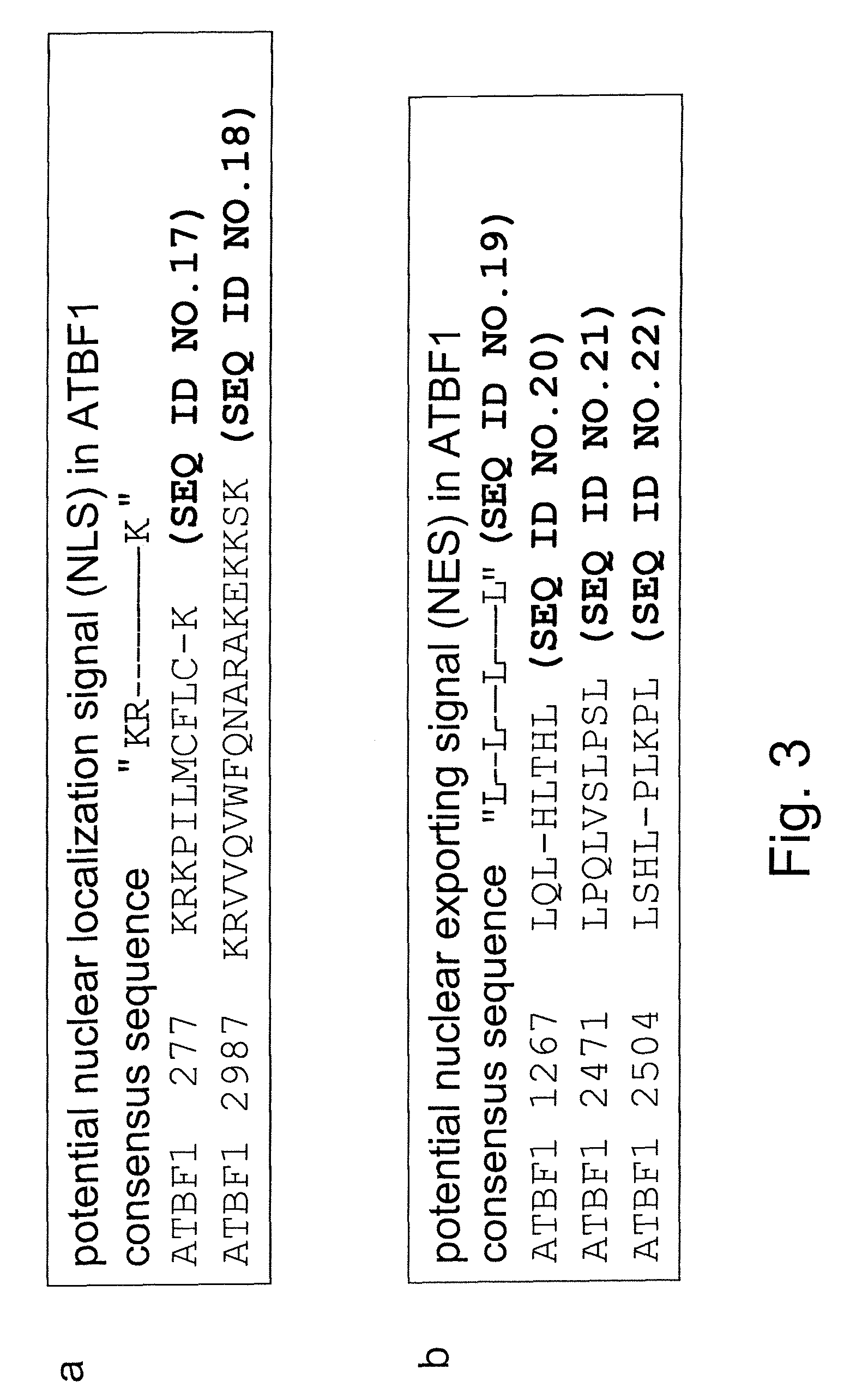 Method of judging grade of malignancy of carcinoma cell using ATBF-1