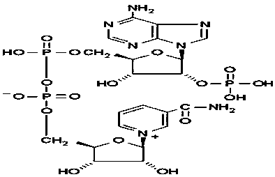 Production method of oxidized nicotinamide adenine dinucleotide phosphate