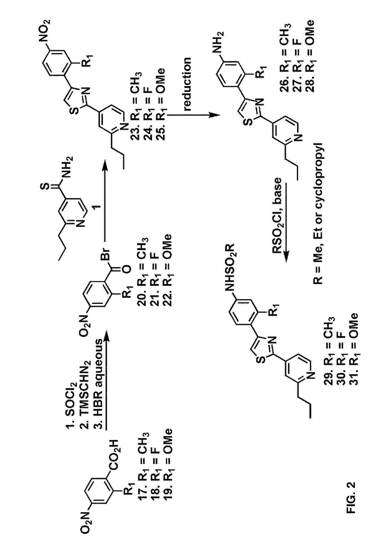 Compositions of fatostatin based heterocyclic compounds and uses thereof