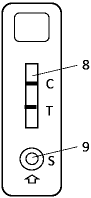An FITC test paper strip for detecting benzodiazepine, a preparing method thereof and an application method of the test paper strip