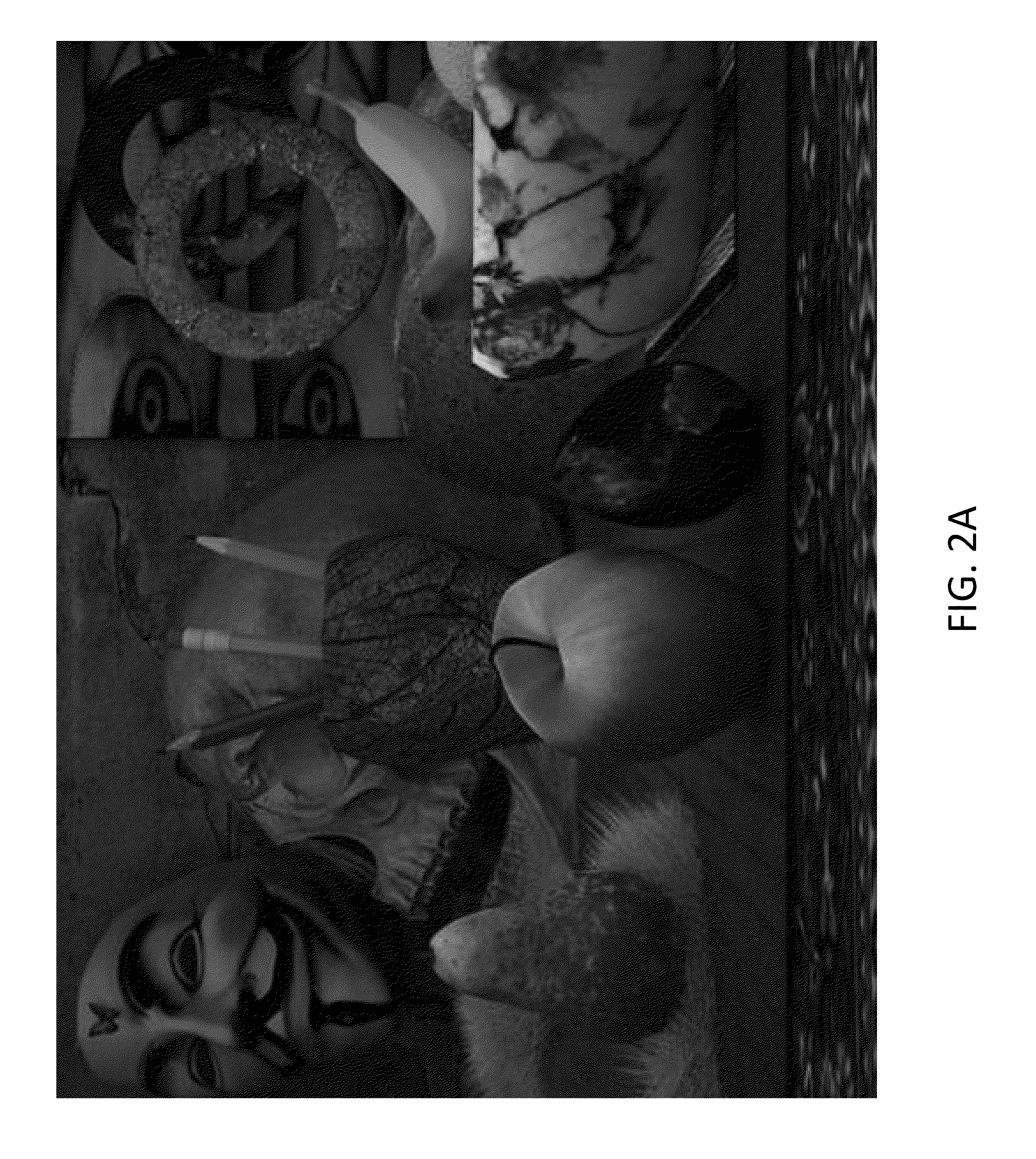 Method And Apparatus For Downscaling Depth Data For View Plus Depth Data Compression