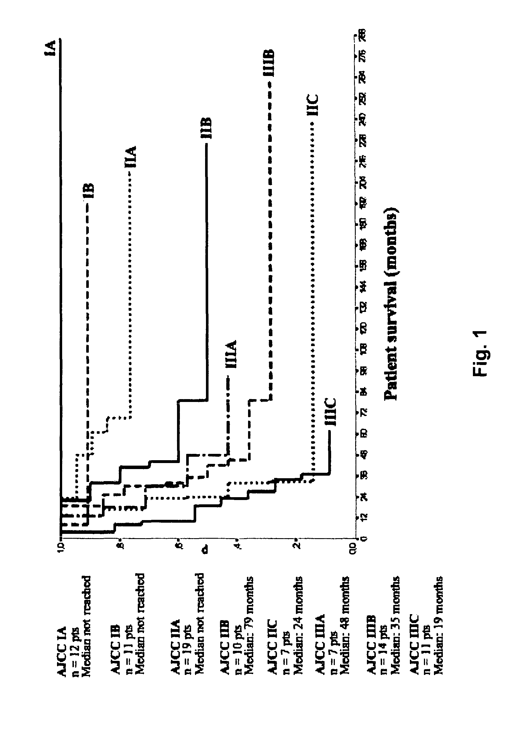 Methods of predicting clinical outcome in malignant melanoma