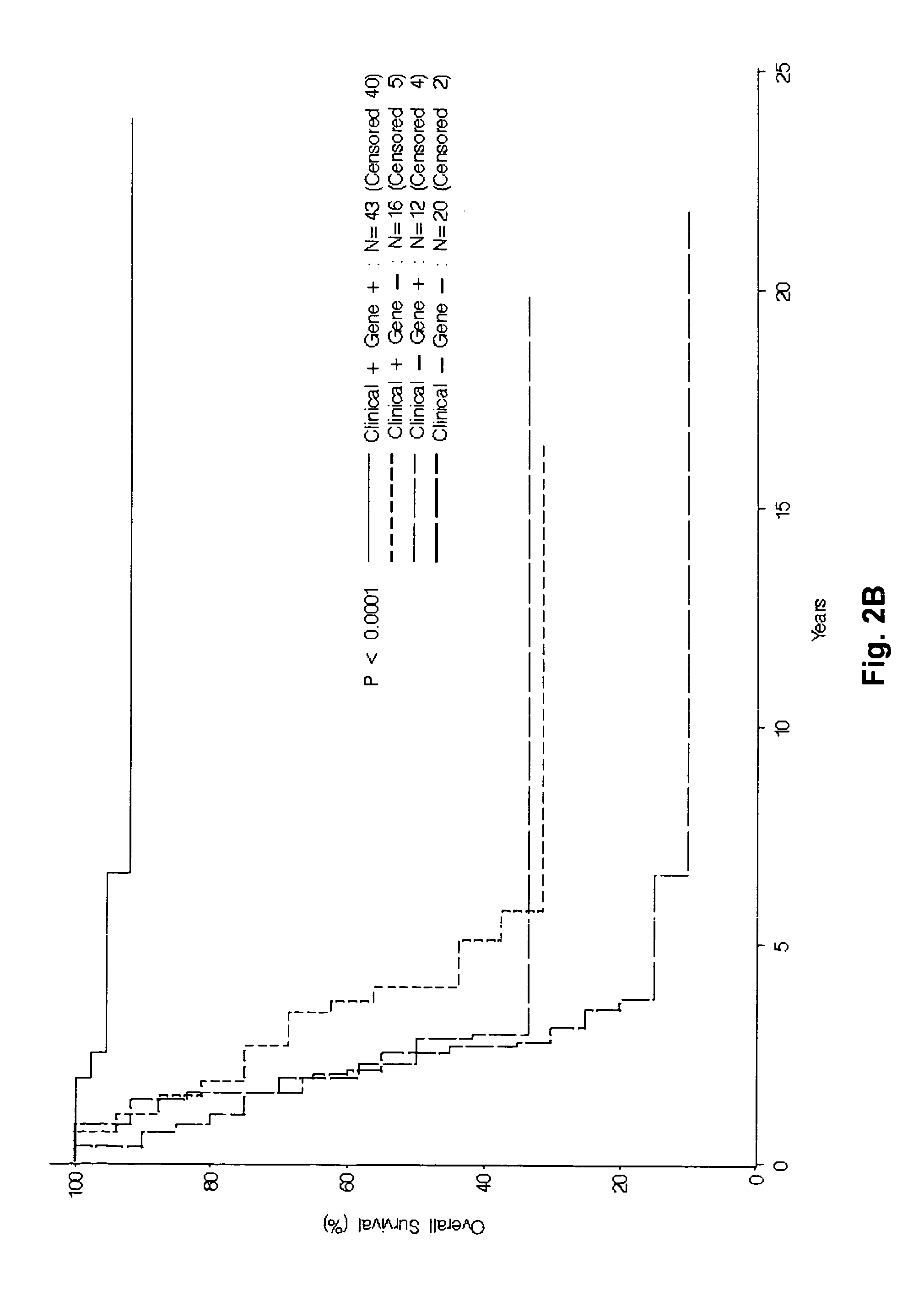 Methods of predicting clinical outcome in malignant melanoma