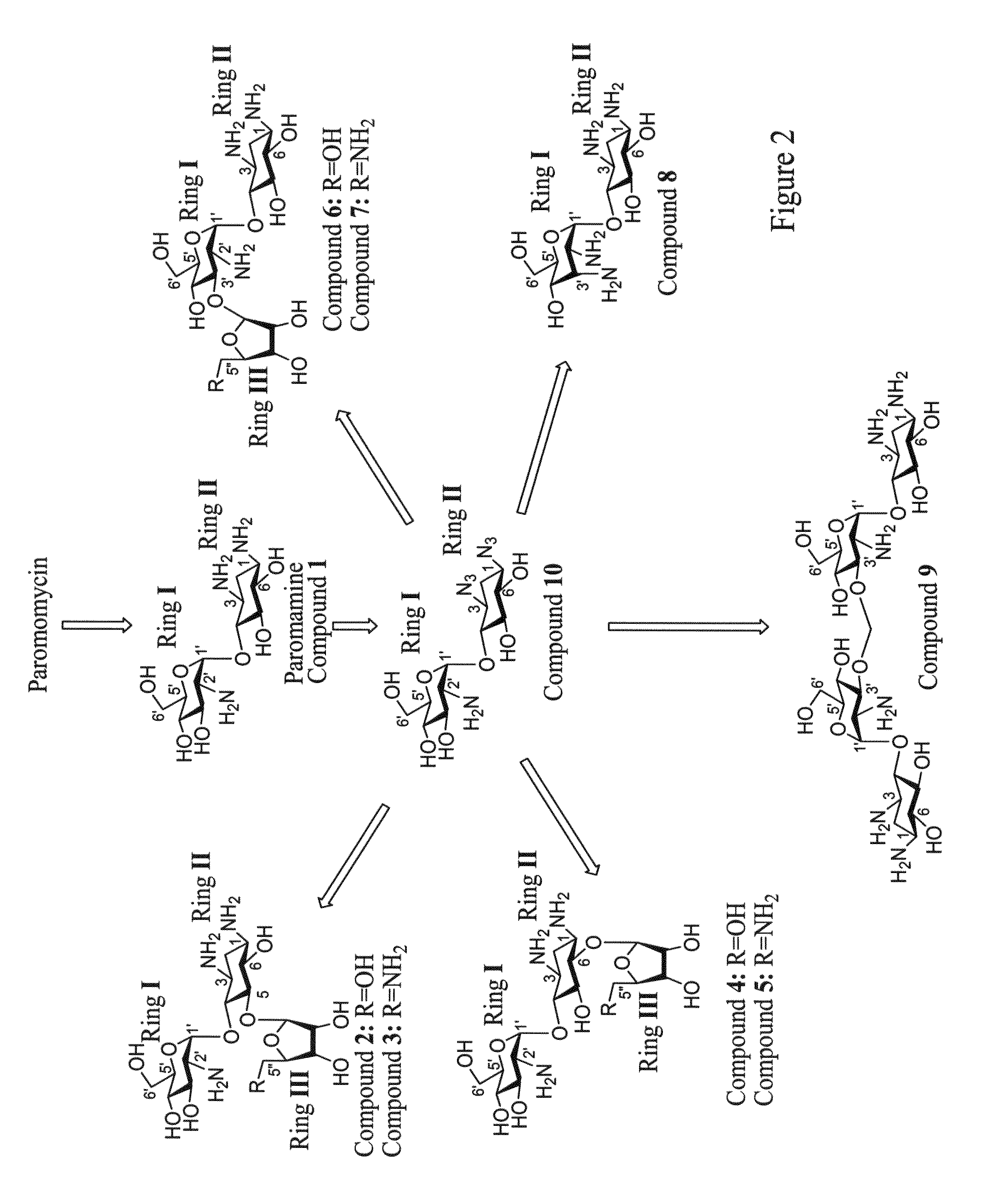 Aminoglycosides and uses thereof in the treatment of genetic disorders
