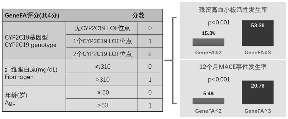 Model for predicting anti-platelet curative effect of clopidogrel and application thereof